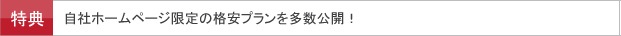 自社ホームページ限定の格安プランを多数公開中！